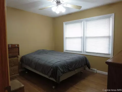 3013 E Griffiths Ave, Springfield, IL 62702 photo 9