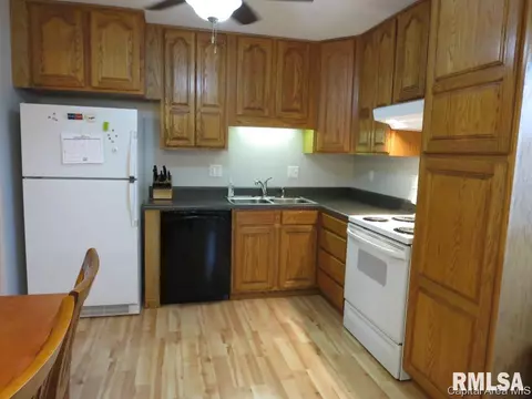 3013 E Griffiths Ave, Springfield, IL 62702 photo 16