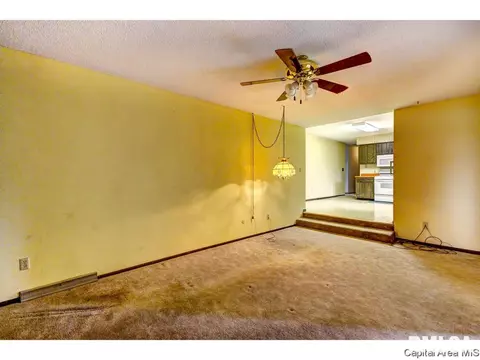 13 Jerry Ln, Springfield, IL 62711 photo 22