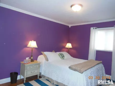 19 Blackberry Run, Springfield, IL 62704 photo 8