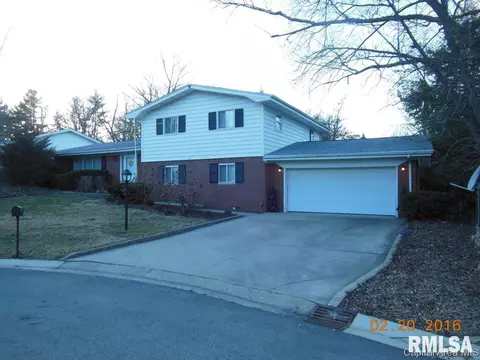 19 Blackberry Run, Springfield, IL 62704 photo 1