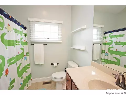 4409 Cricket Pt, Springfield, IL 62711 photo 23