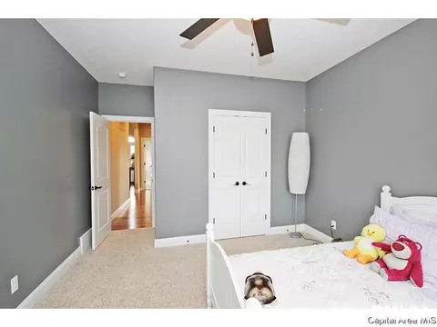 4409 Cricket Pt, Springfield, IL 62711 photo 22