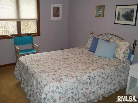 3101 La Conner, Springfield, IL 62704 photo 17