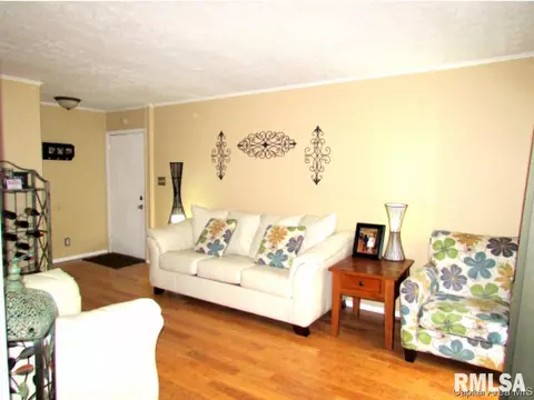 2529 W Monroe, Springfield, IL 62704 photo 2