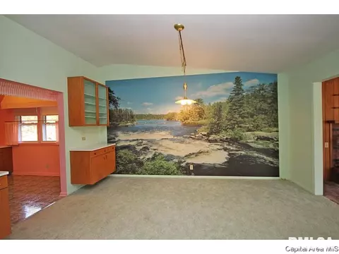 802 Kenyon Dr, Springfield, IL 62704 photo 8