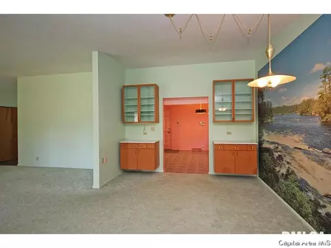 802 Kenyon Dr, Springfield, IL 62704 photo 7