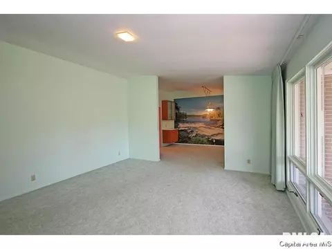 802 Kenyon Dr, Springfield, IL 62704 photo 5
