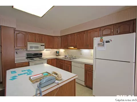 1716 Clearview Dr, Springfield, IL 62704 photo 6