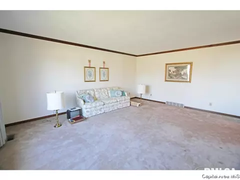 1716 Clearview Dr, Springfield, IL 62704 photo 10