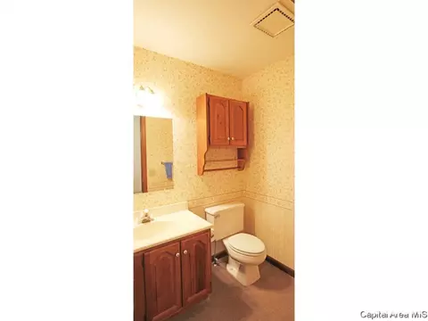 1716 Clearview Dr, Springfield, IL 62704 photo 21