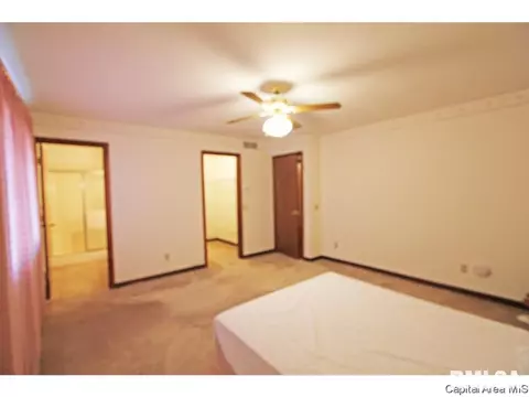 1716 Clearview Dr, Springfield, IL 62704 photo 16