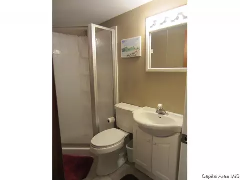 215 Dickinson Rd, Springfield, IL 62704 photo 13