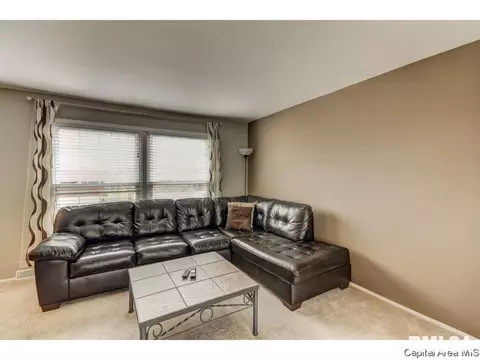 52 Greencastle Cir, Springfield, IL 62712 photo 14