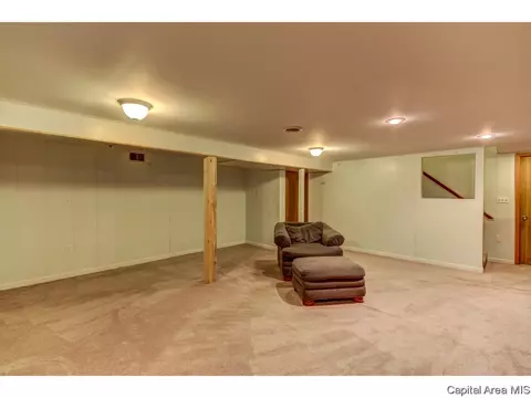 52 Greencastle Cir, Springfield, IL 62712 photo 30