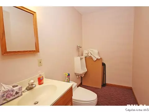 2620 E Lake Shore Dr, Springfield, IL 62712 photo 20