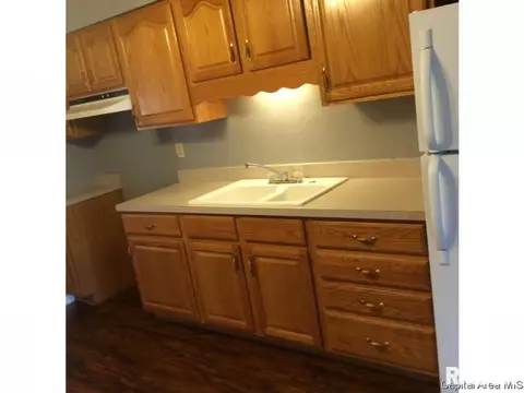 21 St Cabrini Ct, Springfield, IL 62702 photo 4