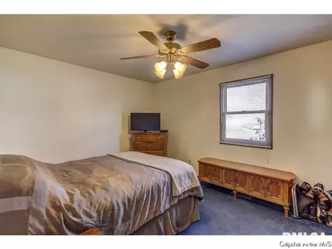 212 Tulip, Springfield, IL 62707 photo 17