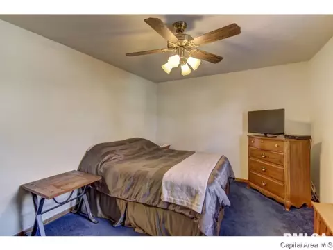 212 Tulip, Springfield, IL 62707 photo 19