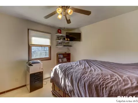 212 Tulip, Springfield, IL 62707 photo 18