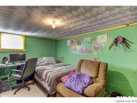 220 E Scarritt, Springfield, IL 62704 photo 30