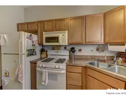 220 E Scarritt, Springfield, IL 62704 photo 13