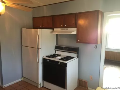 718 S Park Ave, Springfield, IL 62704 photo 5