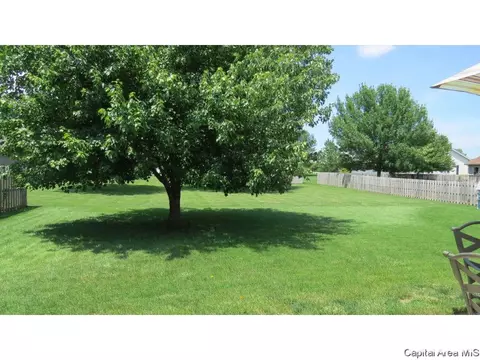 1219 Christopher, Springfield, IL 62712 photo 36