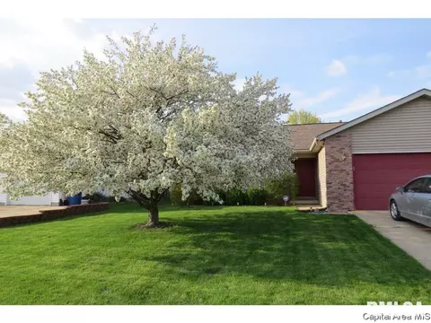 1219 Christopher, Springfield, IL 62712 photo 1