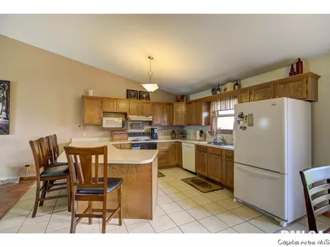 1219 Christopher, Springfield, IL 62712 photo 8