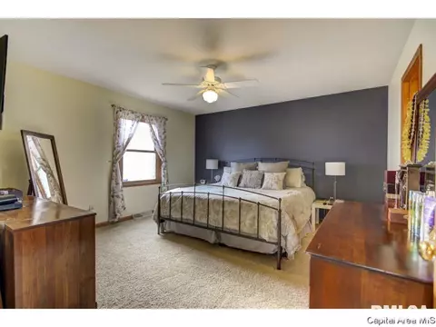 1219 Christopher, Springfield, IL 62712 photo 21
