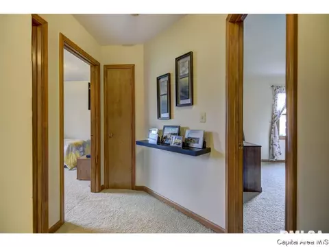 1219 Christopher, Springfield, IL 62712 photo 20