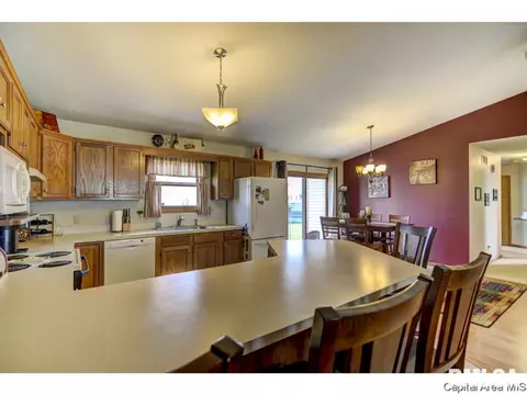 1219 Christopher, Springfield, IL 62712 photo 9