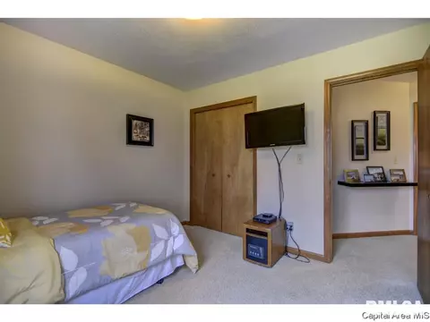 1219 Christopher, Springfield, IL 62712 photo 27