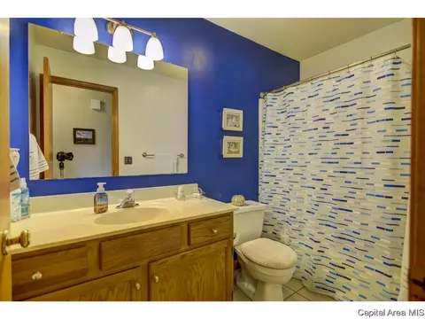 1219 Christopher, Springfield, IL 62712 photo 29