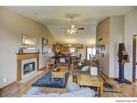 1219 Christopher, Springfield, IL 62712 photo 15
