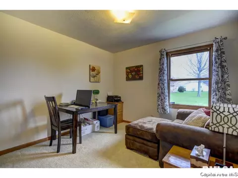 1219 Christopher, Springfield, IL 62712 photo 28