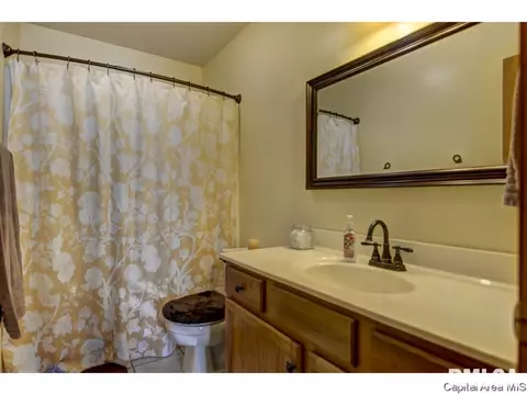 1219 Christopher, Springfield, IL 62712 photo 24