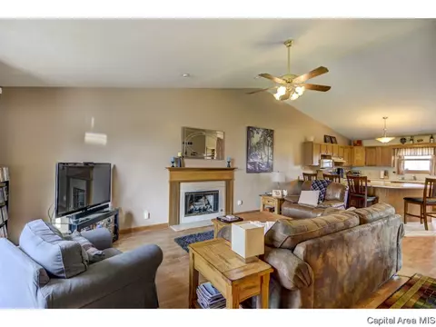 1219 Christopher, Springfield, IL 62712 photo 14