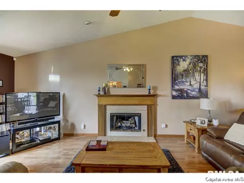1219 Christopher, Springfield, IL 62712 photo 13