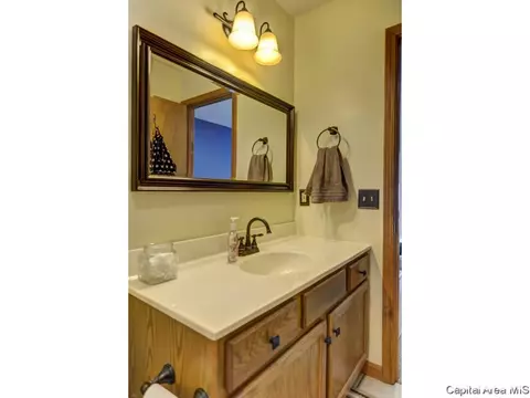 1219 Christopher, Springfield, IL 62712 photo 25