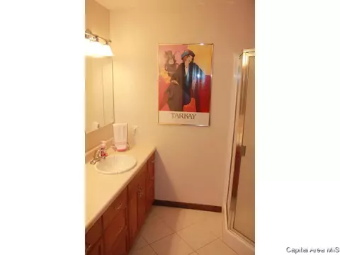 30 Red Fox Ct, Springfield, IL 62712 photo 10