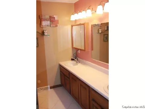 30 Red Fox Ct, Springfield, IL 62712 photo 17