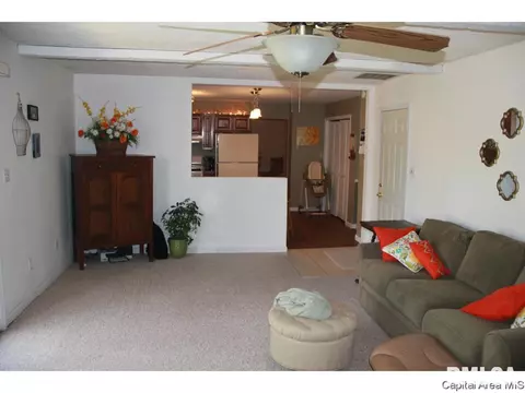 30 Red Fox Ct, Springfield, IL 62712 photo 9
