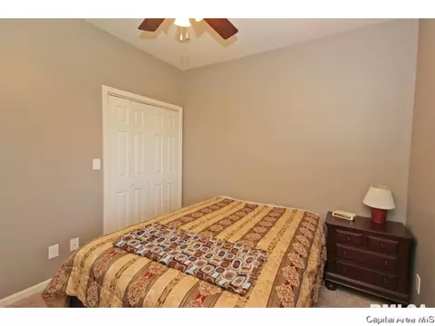 523 Eagle Ridge Dr, Chatham, IL 62629 photo 22
