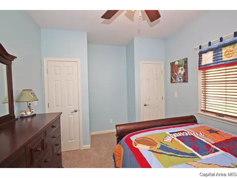 523 Eagle Ridge Dr, Chatham, IL 62629 photo 25