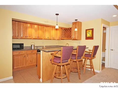 523 Eagle Ridge Dr, Chatham, IL 62629 photo 29