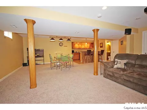 523 Eagle Ridge Dr, Chatham, IL 62629 photo 28