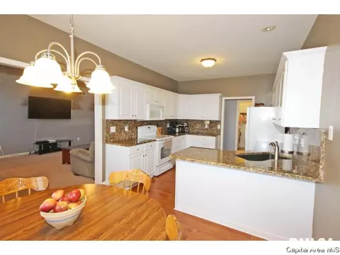 523 Eagle Ridge Dr, Chatham, IL 62629 photo 10