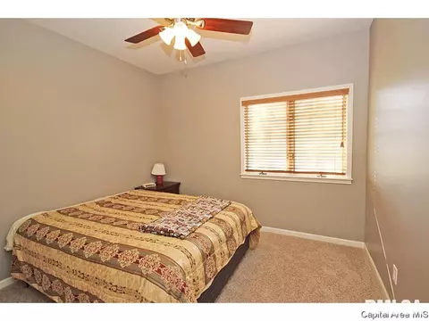 523 Eagle Ridge Dr, Chatham, IL 62629 photo 20